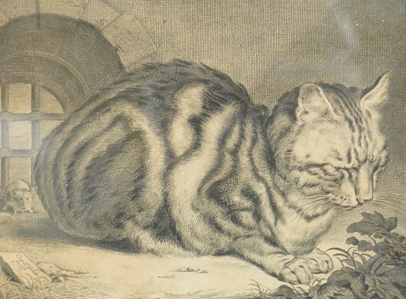 After Cornelis Visscher (Dutch, 1629-1658), 'The Large Cat', signed in the plate, engraving, 14.5 x 18.5cm